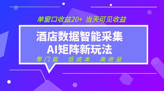 2026酒店数据采集ai智能矩阵新风口  低成本   高收益   当天见收益   单窗口20+-800资源网