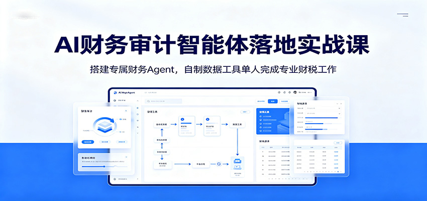 AI财务审计智能体落地实战课：搭建专属财务Agent，自制数据工具单人完成专业财税工作-800资源网