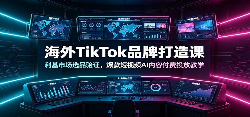 海外TikTok品牌打造课：利基市场选品验证，爆款短视频AI内容付费投放教学-800资源网
