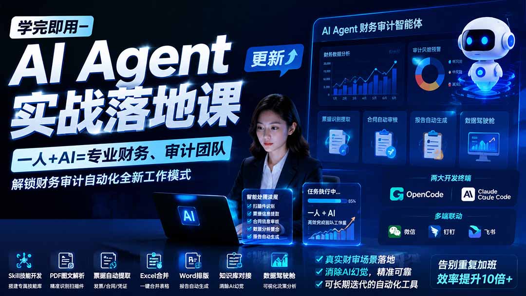 学完即用—AI Agent实战落地课-更新:一人+AI=专业财务、审计团队,解锁财务审计自动化全新工作模式-800资源网