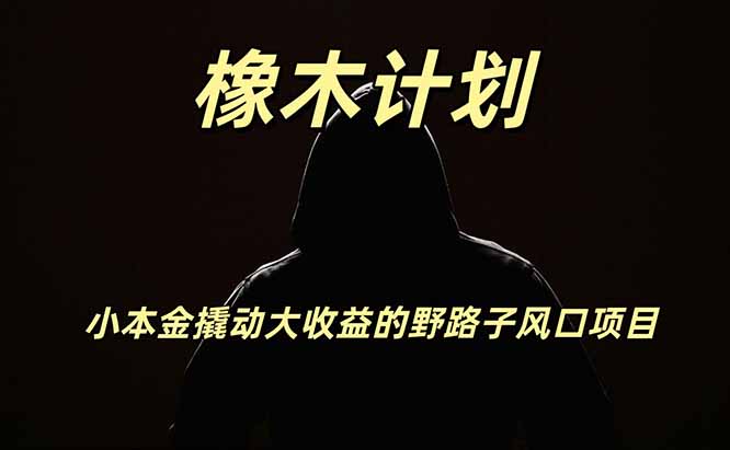 橡木计划，小投入撬动高回报的风口野路子项目，一天投入2小时左右-800资源网